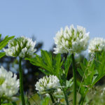 リフレッシュは大事