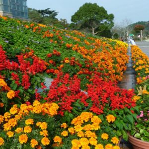 勤労に感謝してお休み