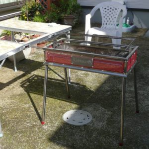 コストコの肉でBBQ