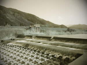 仕事帰りに河原でマッタリ