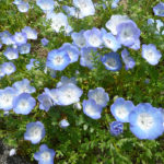 現実逃避の散歩