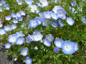 現実逃避の散歩