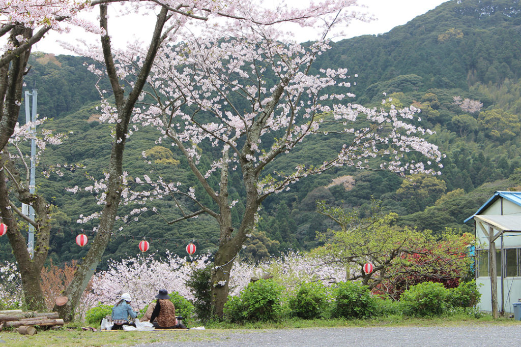 成田山不動寺 駐車場