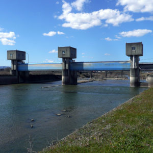 川沿いのドライブは気持ちいい