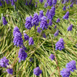 花粉の季節到来?