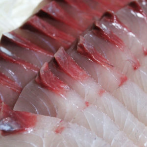 ヒラマサ（ヒラス）頂きました