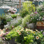 花に囲まれて癒される