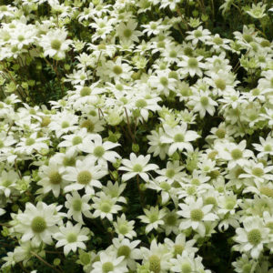 残業がこたえるわ～