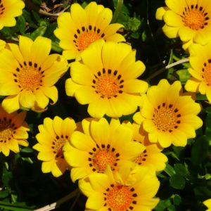 生活のサイクルを戻しましょ