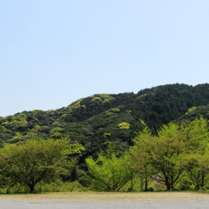 週末に向けて頑張る