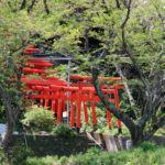 もう5月も半ば