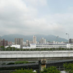 今年も夏がやってくる