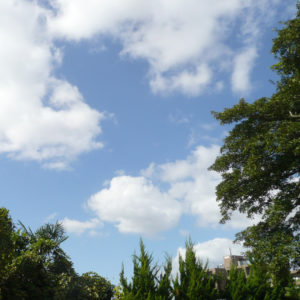 梅雨時期は嫌だ