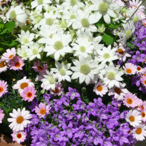 バリウムと格闘