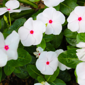 疲れが残ってるなぁ