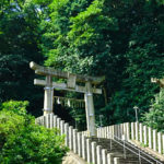 朝から掃除