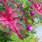 水害が心配です