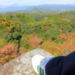 紅葉狩りは無理かな