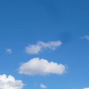 久しぶりに散髪