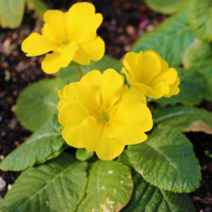 今日も厳しい寒さ