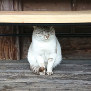 朝の内はまだ肌寒い