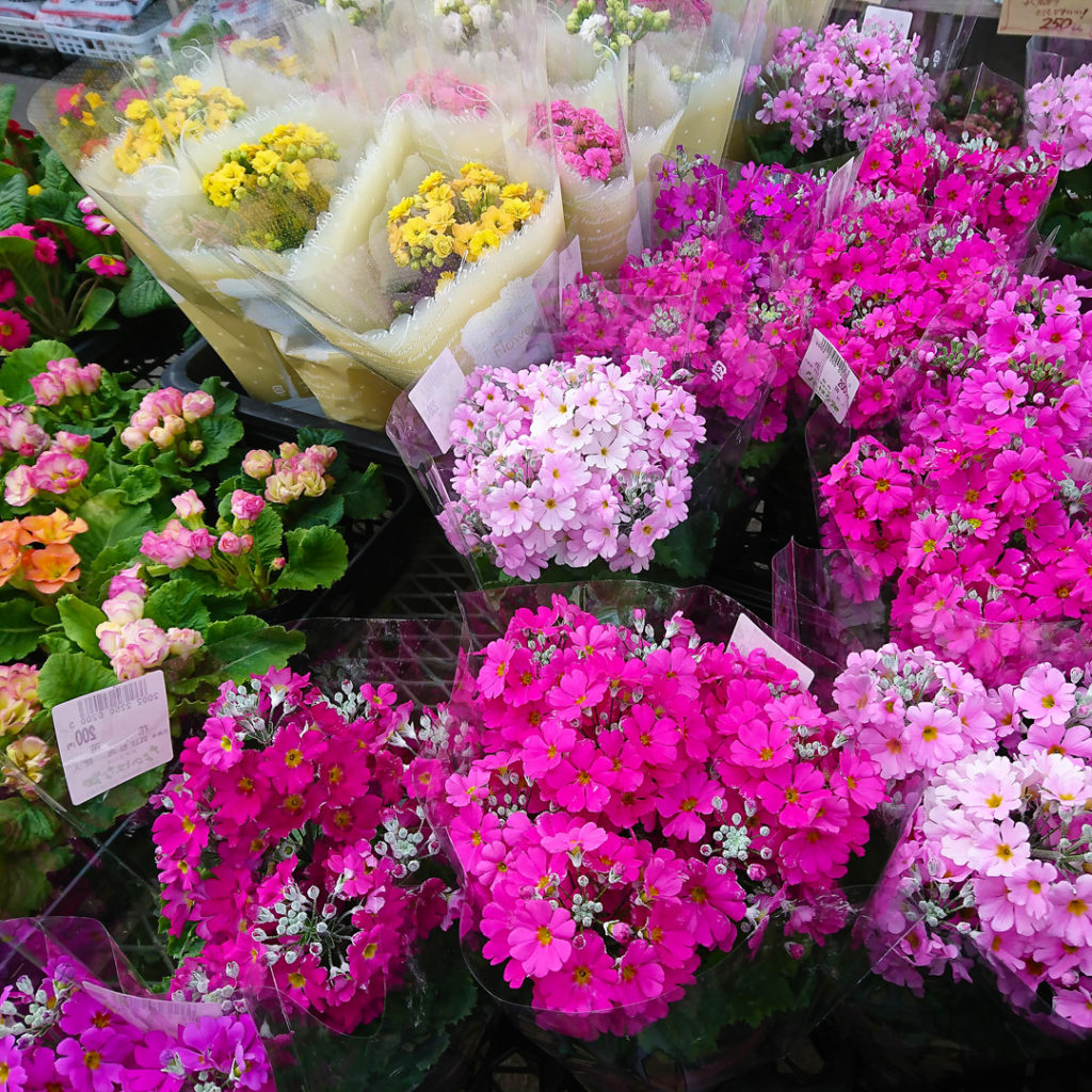 花屋に並ぶ花々