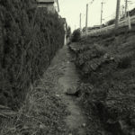 今は通らない道