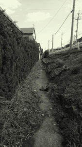 今は通らない道