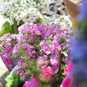 寒いので家籠り