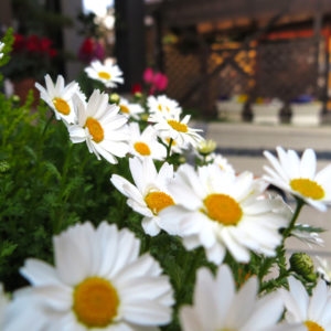 食後は眠くてたまらない