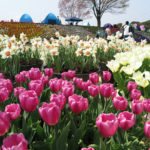 もう暖房は要らない