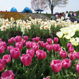 もう暖房は要らない