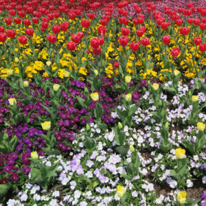 寝たりないなぁ