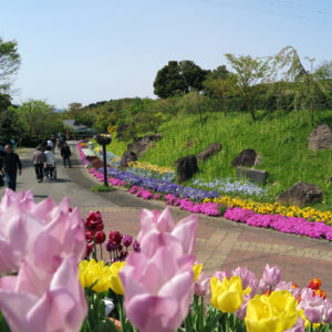福地山ろく花公園｜福岡県直方市