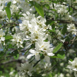 ココを乗り切れば大型連休！