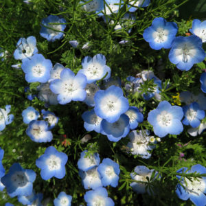 天気予報通り雨