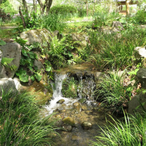 木陰でボンヤリ