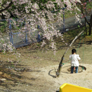 眠くて仕方ない