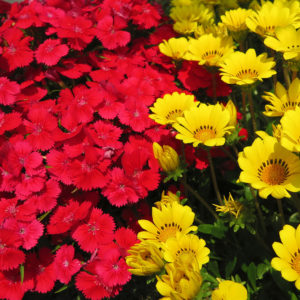 仕事に行くのが憂鬱