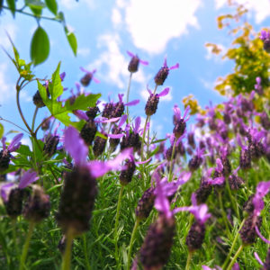 連休も残りわずかだ！