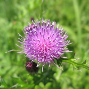 大型連休も終わり