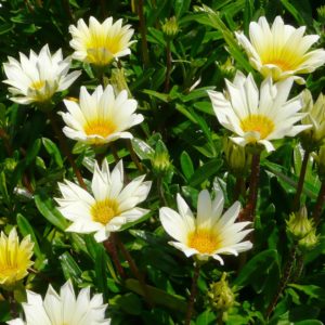 衣替えしなくちゃ