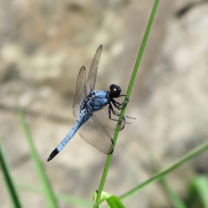 品質管理検定の試験から解放