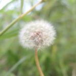 朝方は肌寒い