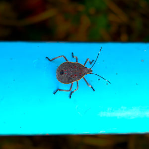 相変わらず体調不良