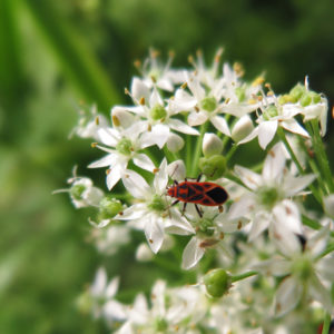 久しぶりに散髪