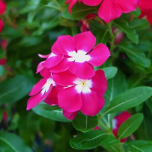 首を痛めました