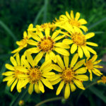 三連休の最終日