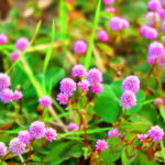 一雨ごとに寒くなる