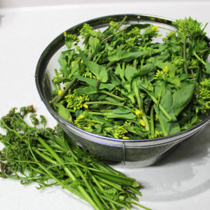 今年も菜の花とワラビ摘みに行ってきました